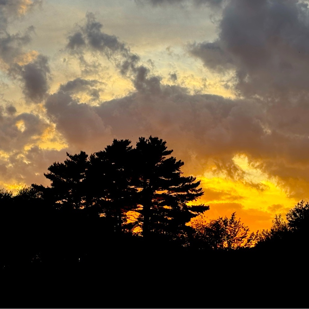 Meet your Posher, AMMO